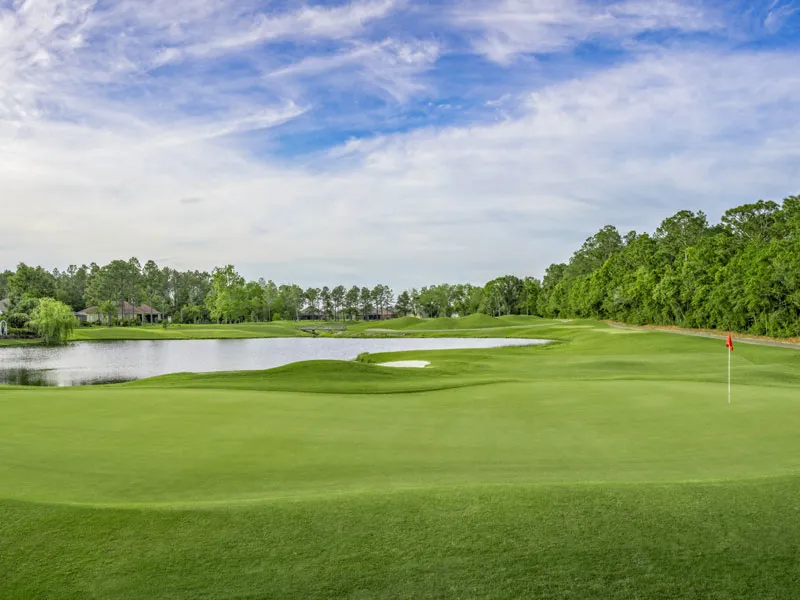 World Class Golf Instruction