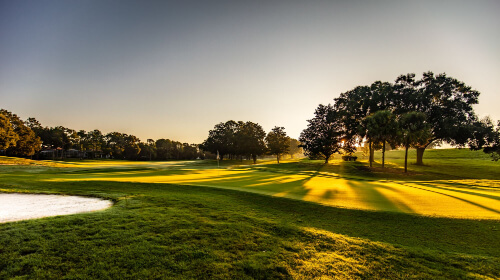 Lady Lakes,  Florida